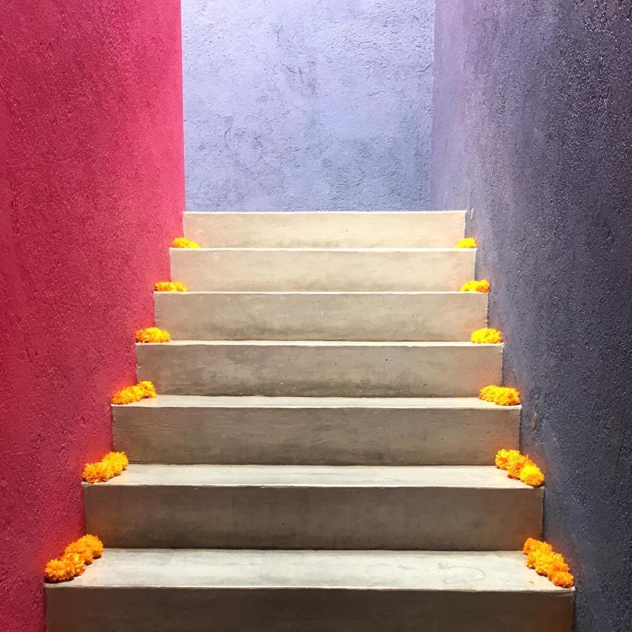 La Betulia Bed And Breakfast Oaxaca Exterior photo